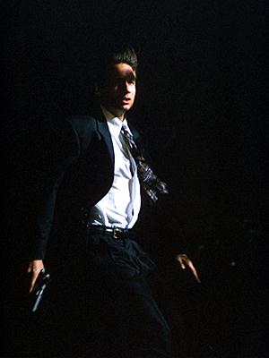 xf303blg.jpg (12031 bytes)